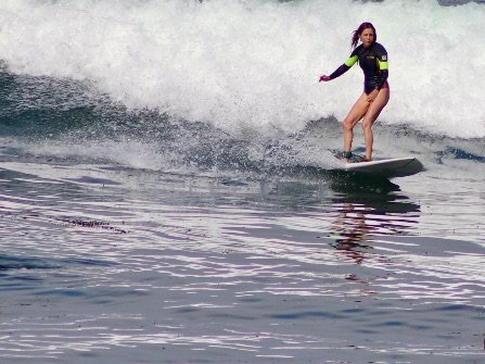 Profile image of Shaka Press